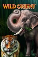Wild Orient