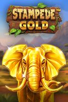 Stampede Gold